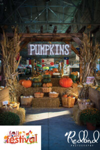 DFW Fall Fest-Previous events