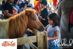 DFW Fall Fest-Previous events