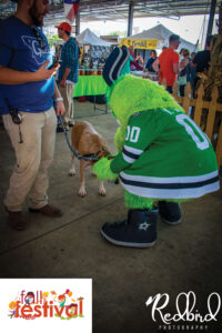DFW Fall Fest-Previous events